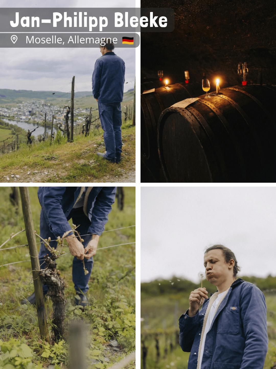 Jan-Philipp Bleeke - Winemaking